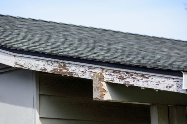 Rockville Wood Rot Repair