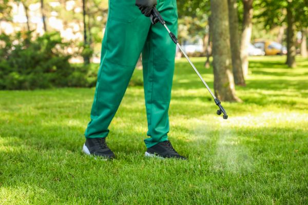 Rockville Lawn Treatment