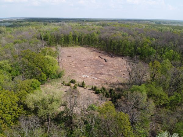 Rockville Land Clearing